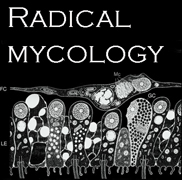 radical mycology